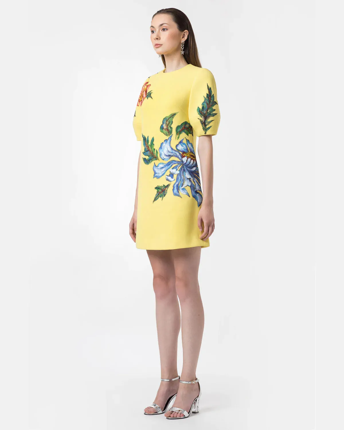 Poppy-painted Voluminous Sleeve Shift Dress