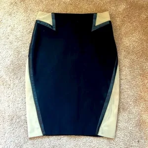 Rag &amp; Bone Pencil Skirt