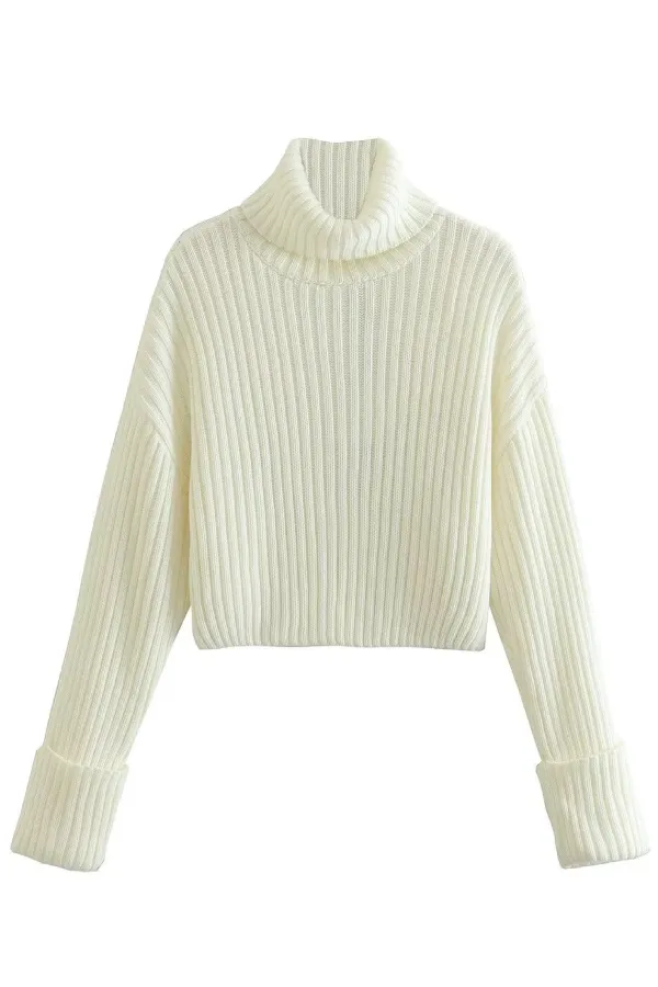 Ribbed Turtleneck Sweater