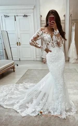 Sexy Sheer Lace Fit and Flare Long Sleeve Wedding Dress