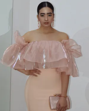 Those Around Me Organza Ruffle Blouse Blush